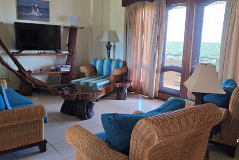 07-PR-C105-H3-Living-Room-02