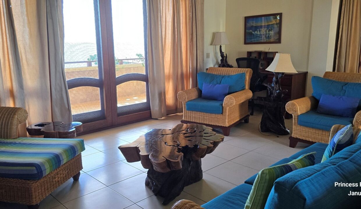 09-PR-C105-H3-Living-Room-04