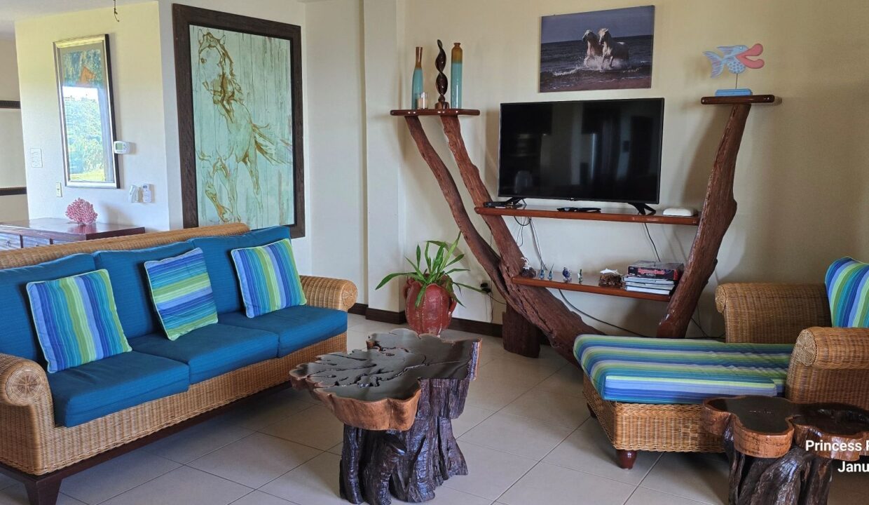 10-PR-C105-H3-Living-Room-05