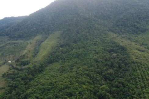 IMG_0960-1 (1)