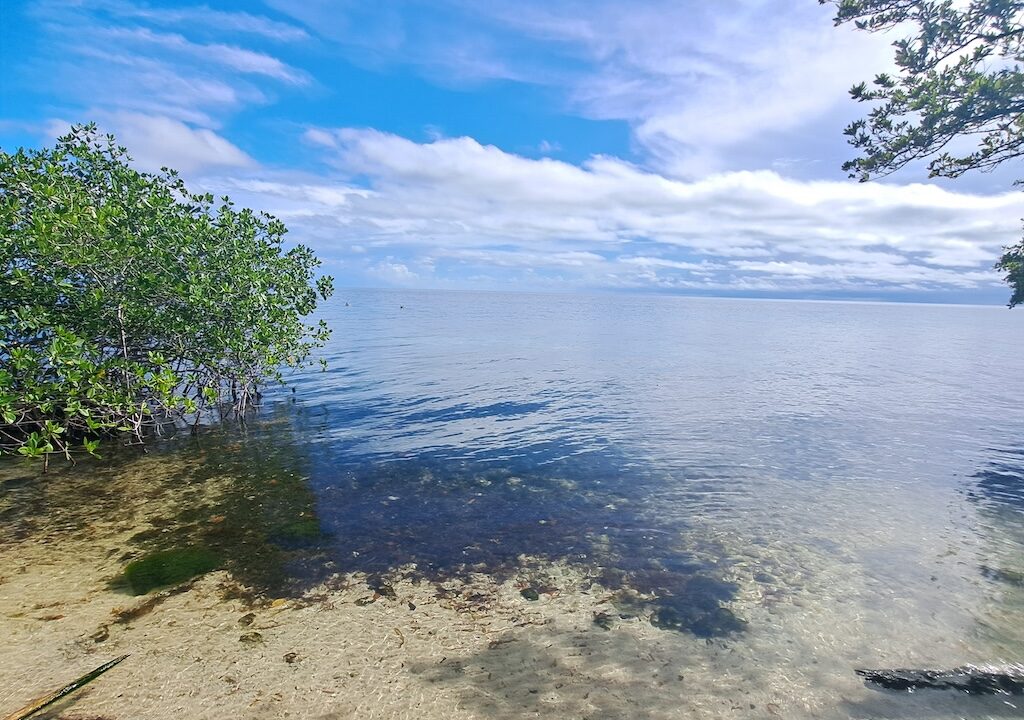 Round-caye-private-island