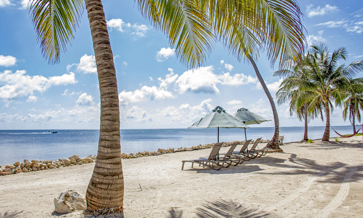 beach-front-2-web