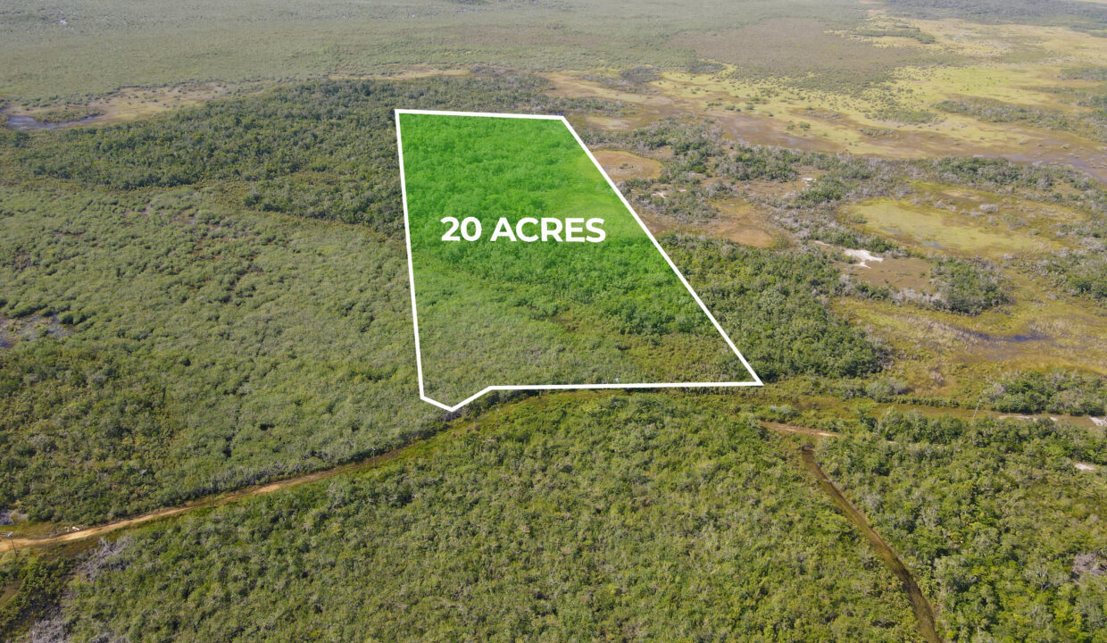 belize-real-estate-20-acres-john-smith-road