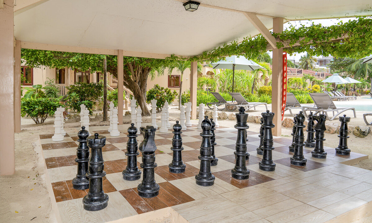 giant-chess-area-2-web