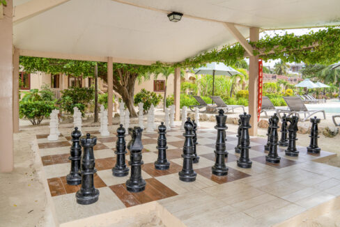 giant-chess-area-2-web