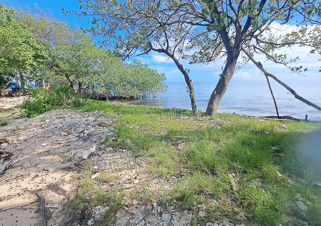 island-ground-images