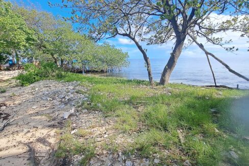 island-ground-images