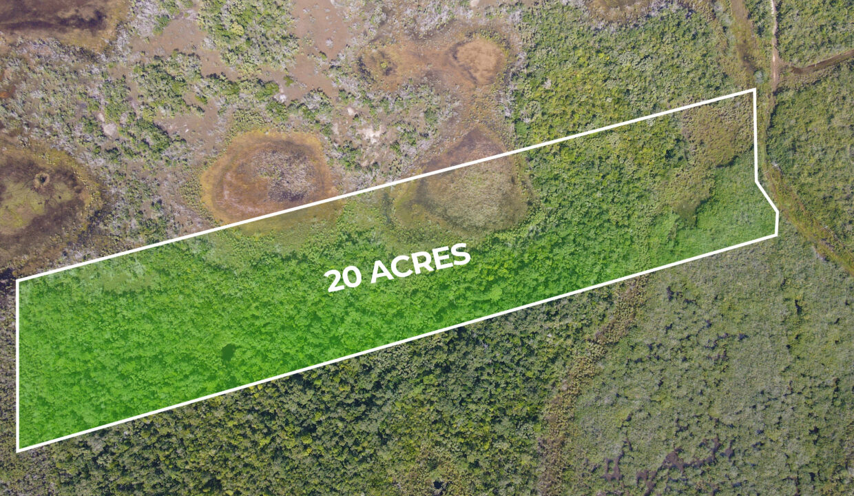 john-smith-road-belize-20-acre-land-for-sale
