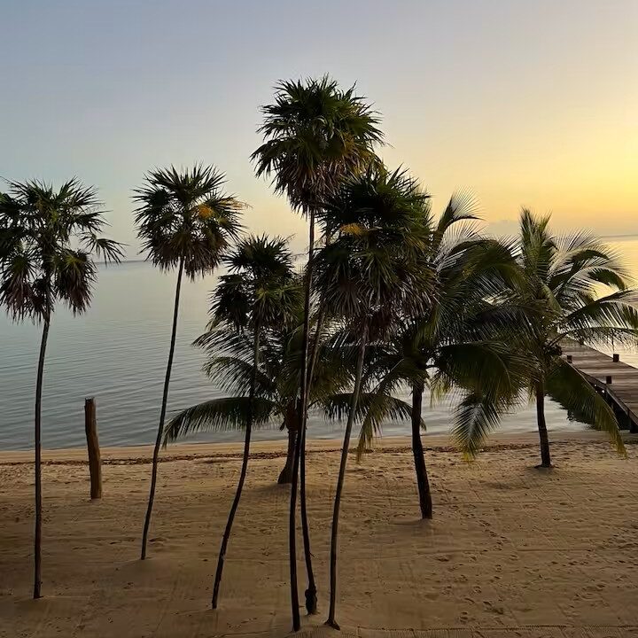 pb beach sunset trees