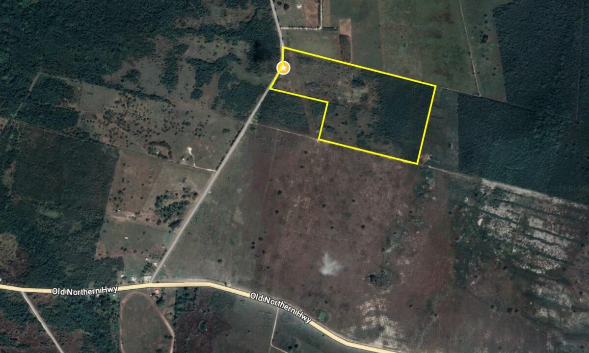 100011445083-mls20aerial205020acres