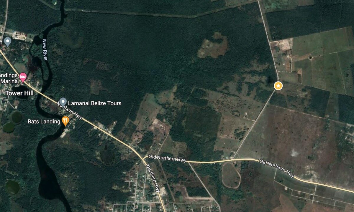 100011445083-mls20aerial205020acres202