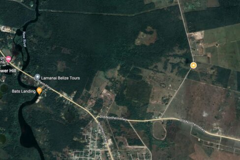 100011445083-mls20aerial205020acres202