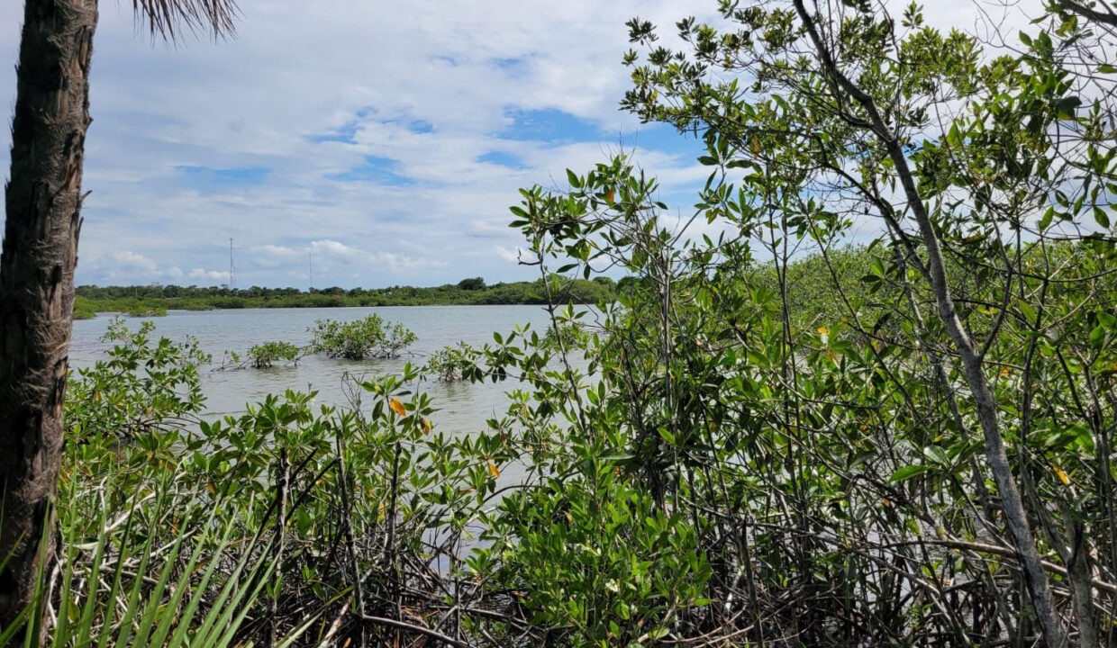 ARF07 - 10 acres lagoon plot for sale