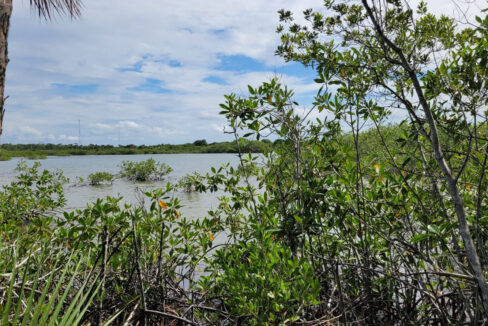 ARF07 - 10 acres lagoon plot for sale