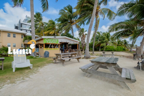 Coco-Locos-March_2026-LIGH0163-HDR-768x512