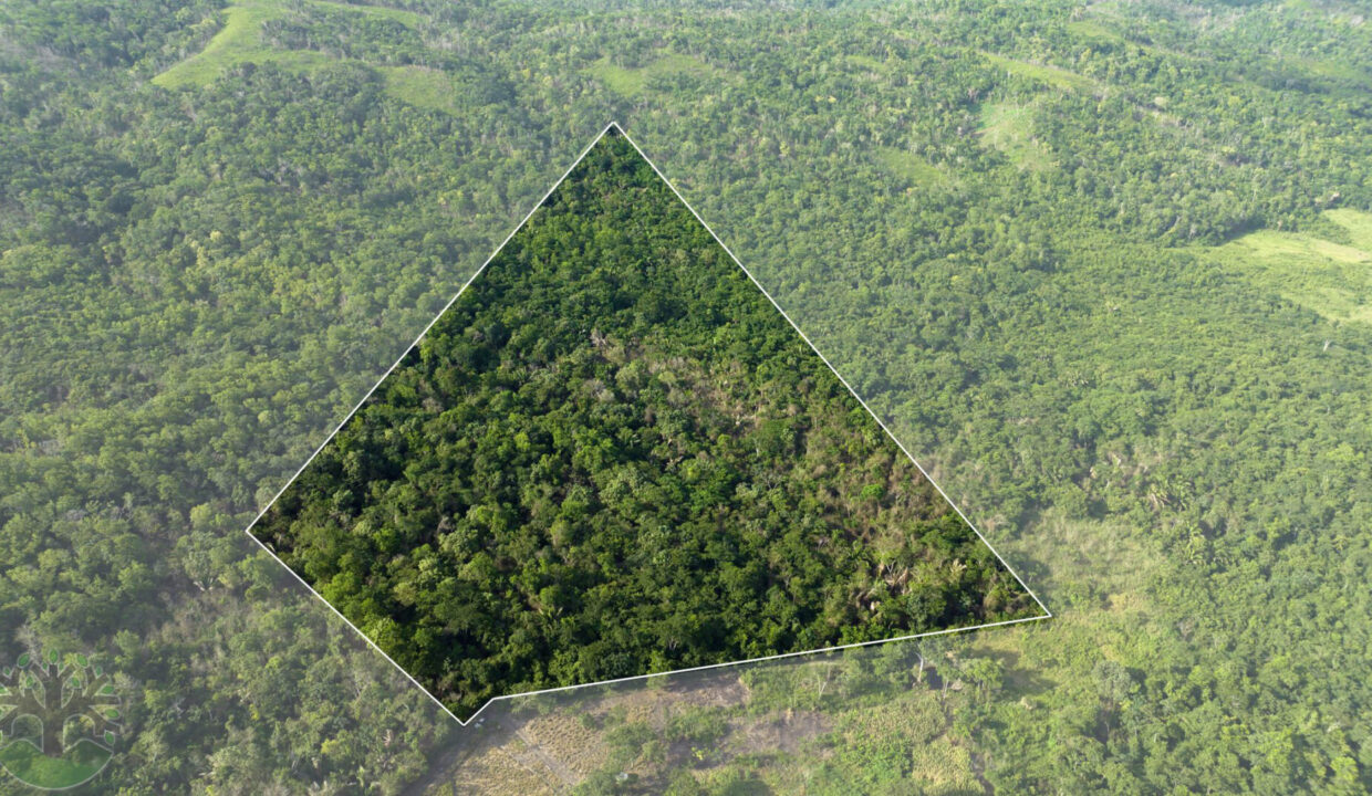 DJI_0269-Outline