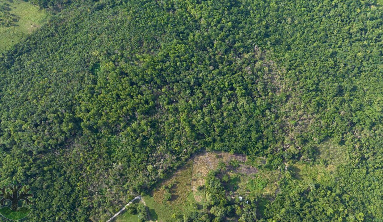 DJI_0277-1