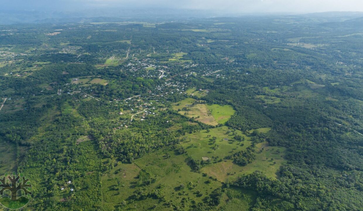 DJI_0291