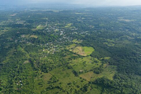 DJI_0291