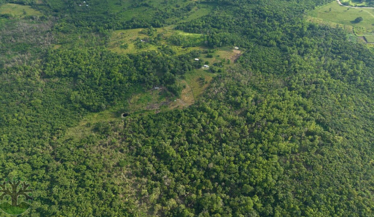 DJI_0299