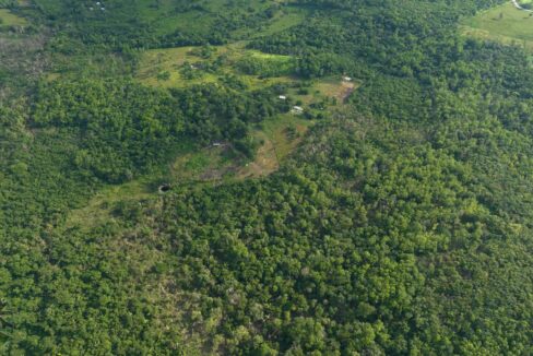 DJI_0299