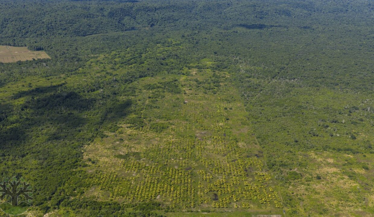 DJI_20251001133555_0327_D-HDR