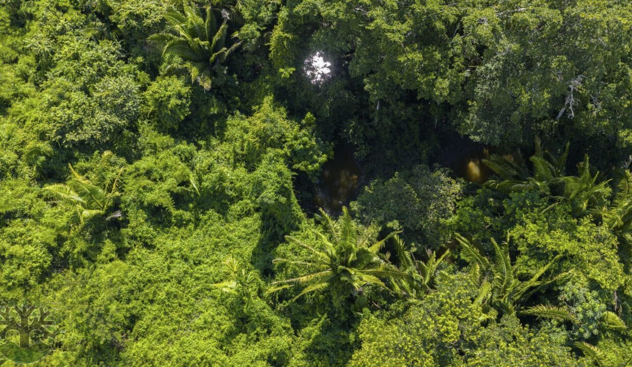 DJI_20251001134650_0398_D-HDR