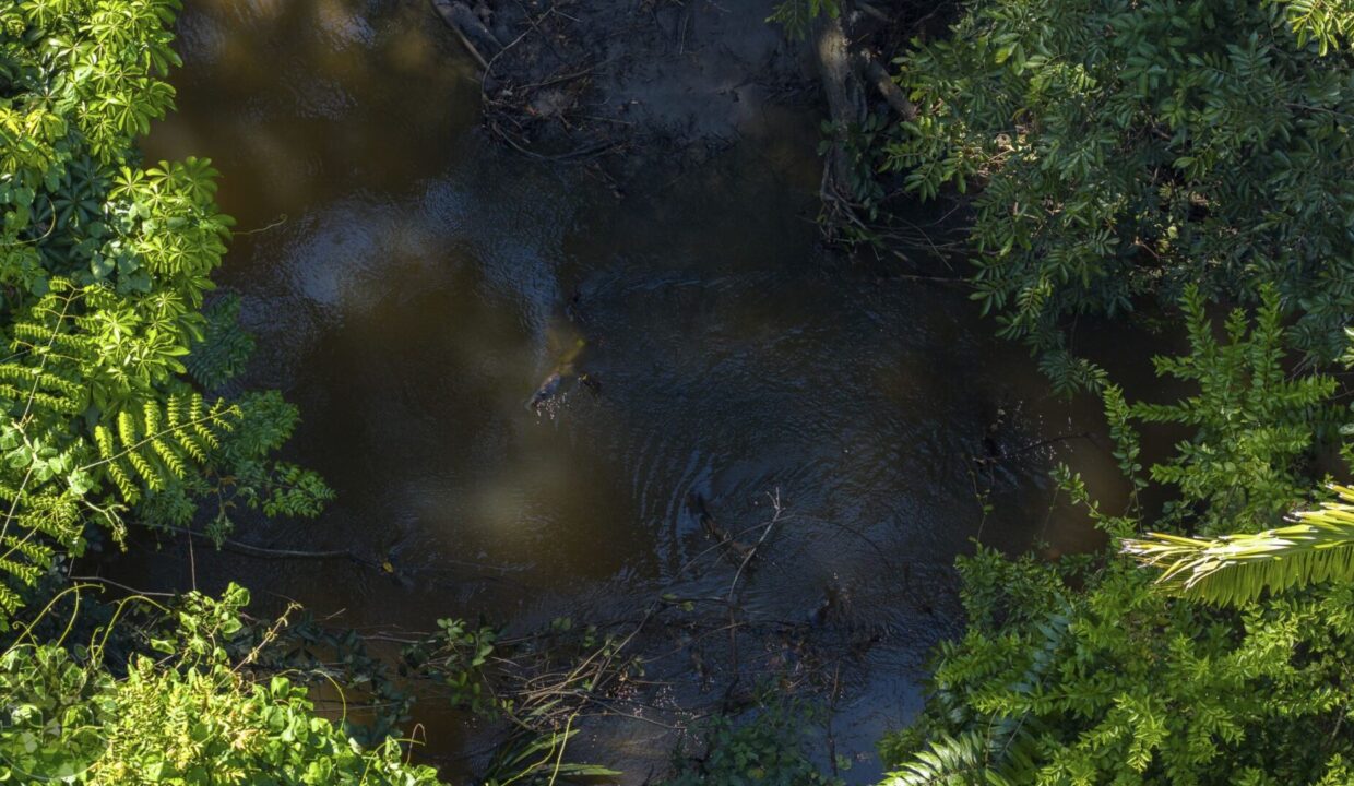 DJI_20251001134751_0407_D-HDR