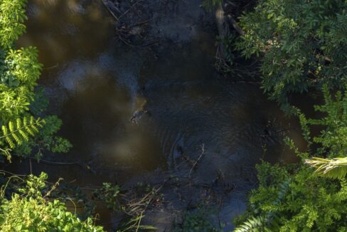 DJI_20251001134751_0407_D-HDR