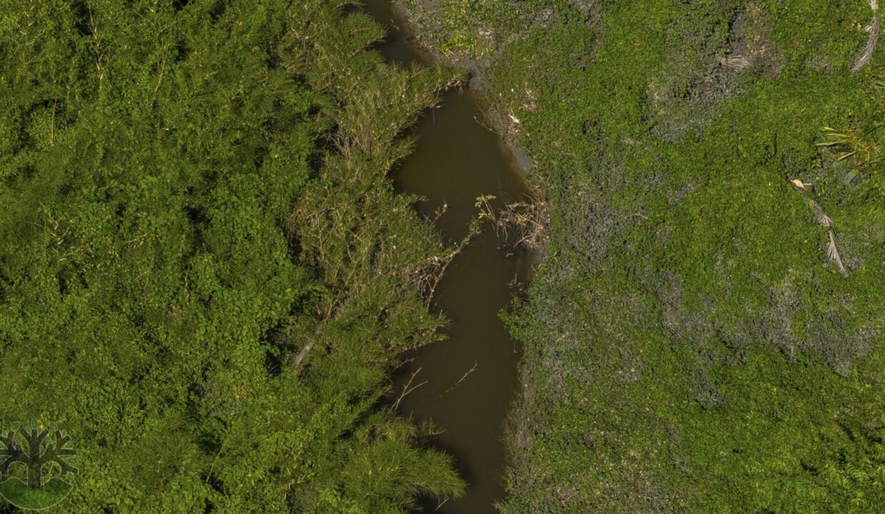 DJI_20251001135734_0495_D-HDR