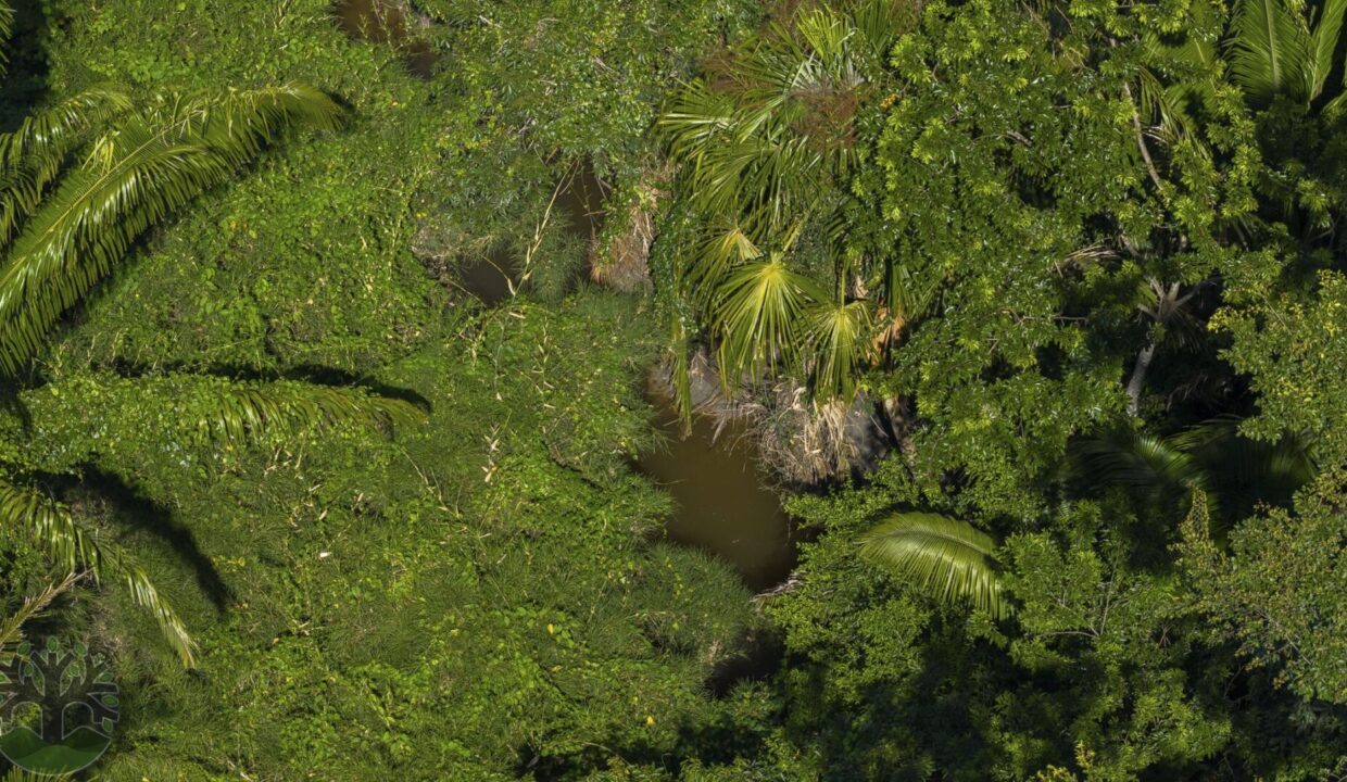 DJI_20251001135746_0501_D-HDR