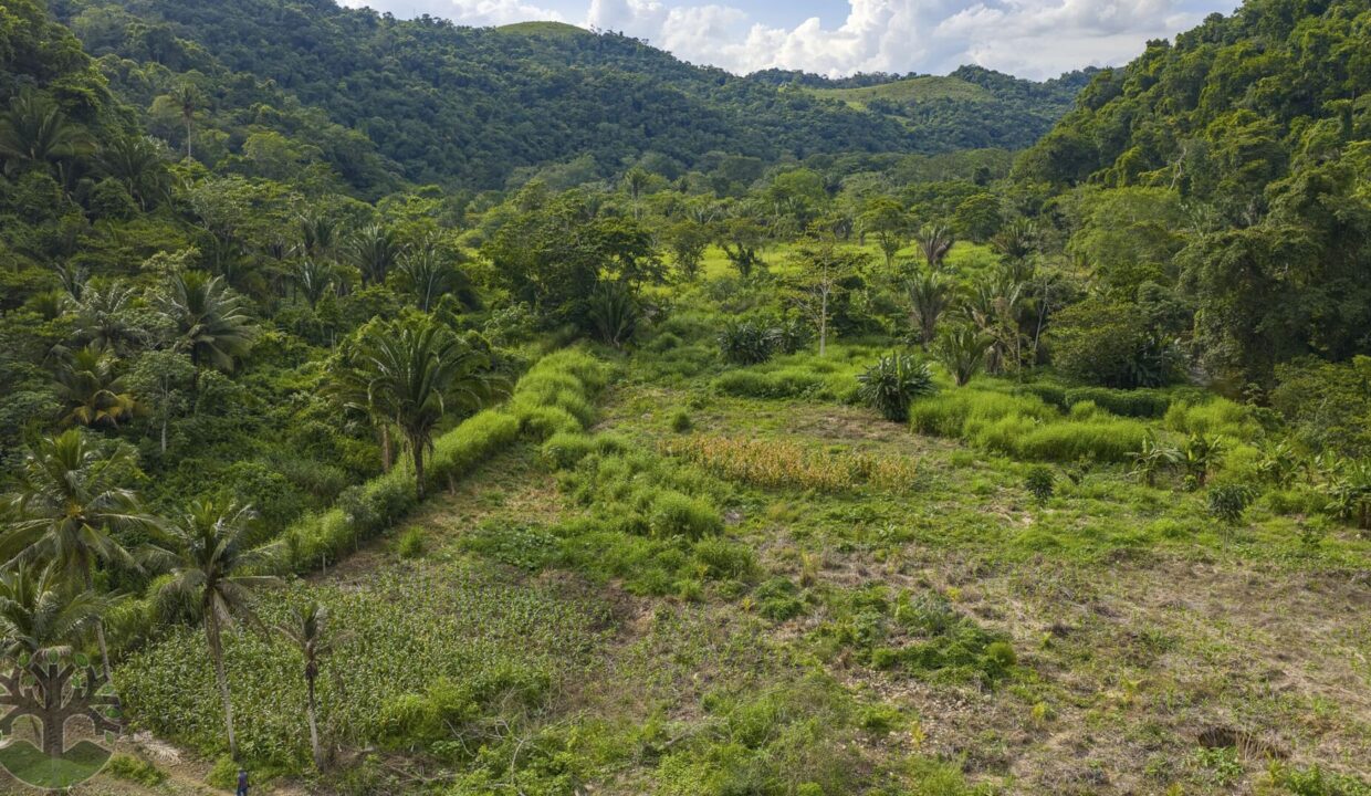 DJI_20251017152511_0933_D