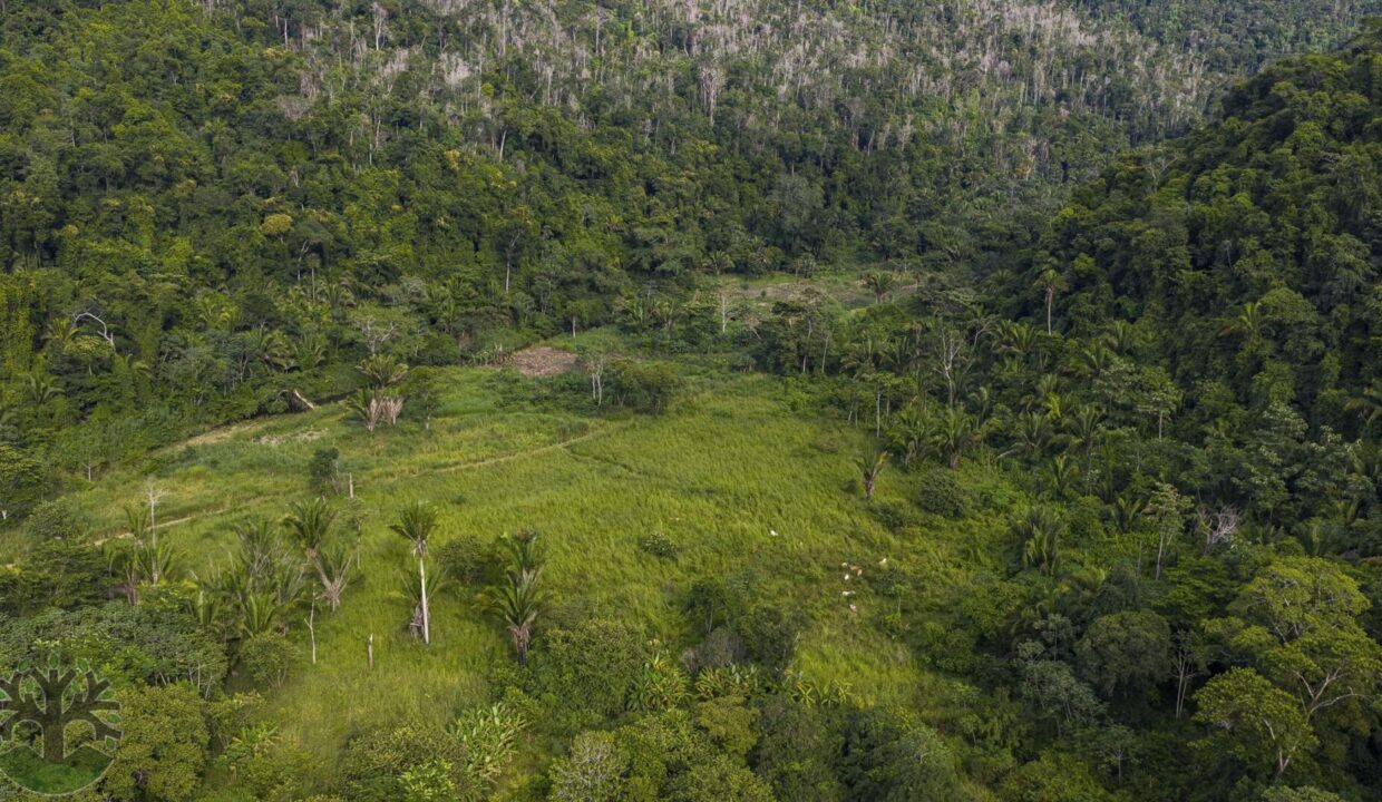 DJI_20251017153021_0956_D