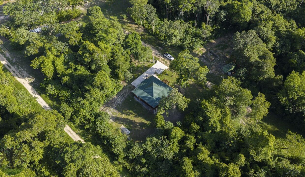 DJI_20251106153511_0123_D