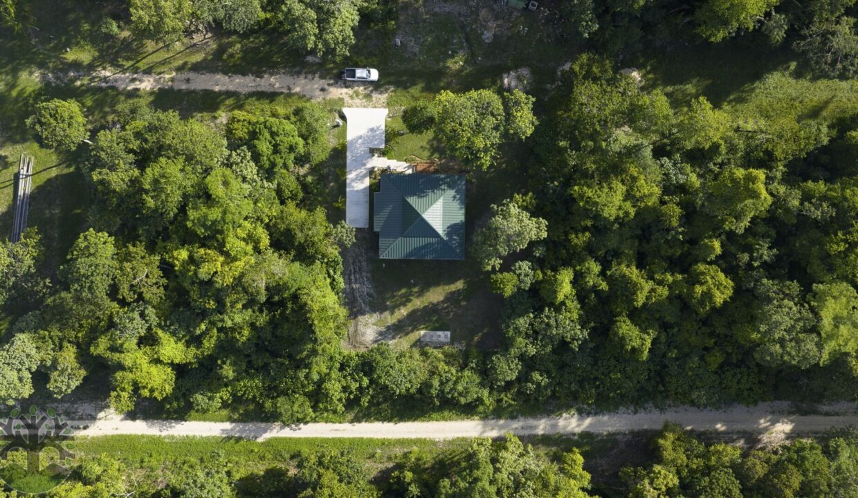 DJI_20251106154005_0148_D