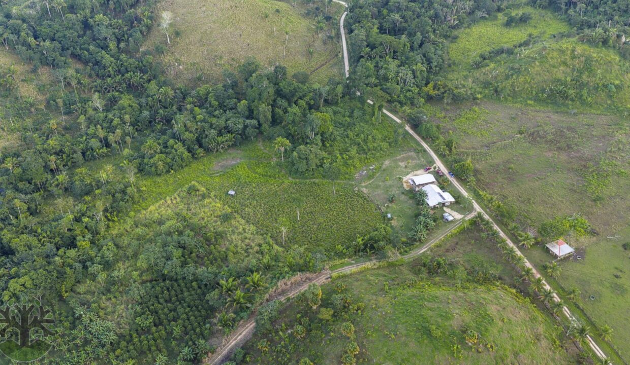 DJI_20251121152852_0212_D