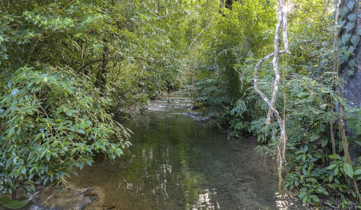 DJI_20251121153739_0253_D
