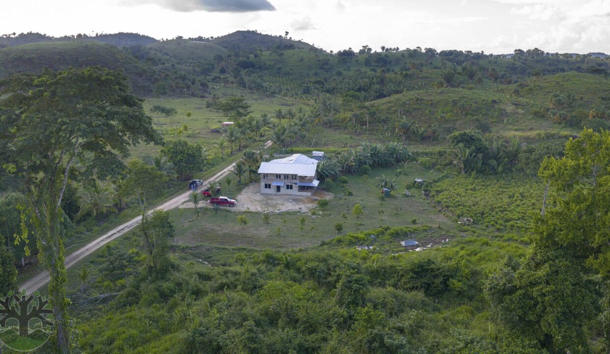 DJI_20251121153924_0258_D