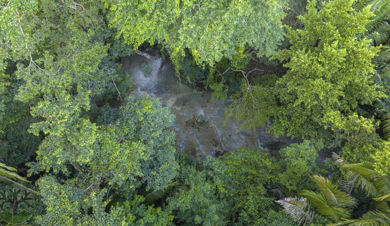 DJI_20251121154038_0261_D