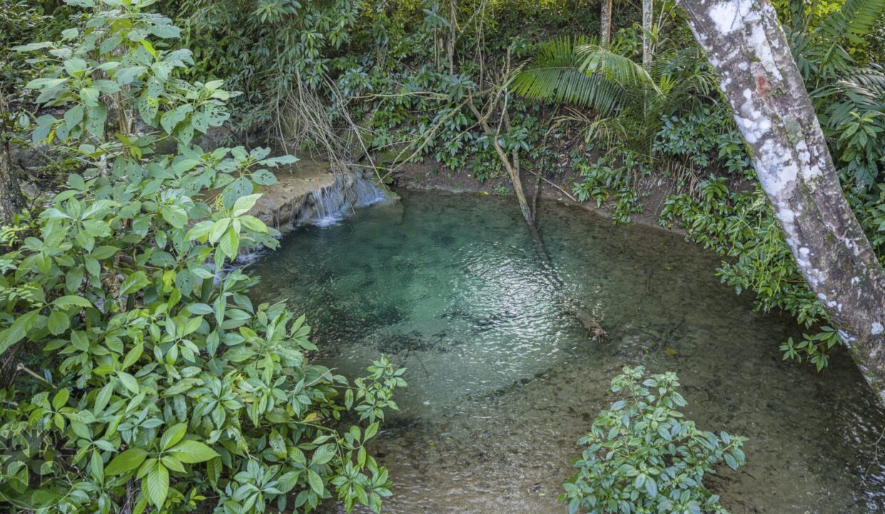 DJI_20251121154128_0269_D