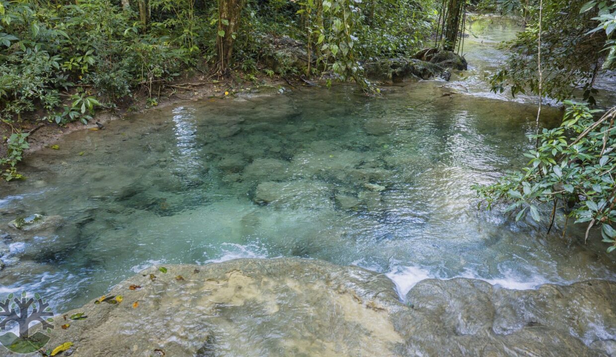 DJI_20251121154245_0280_D
