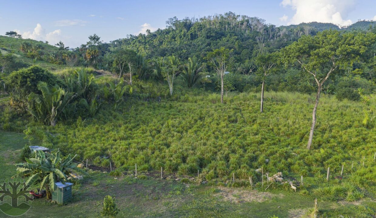 DJI_20251121154901_0314_D-Enhanced-NR