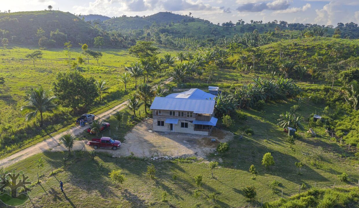 DJI_20251121154951_0319_D