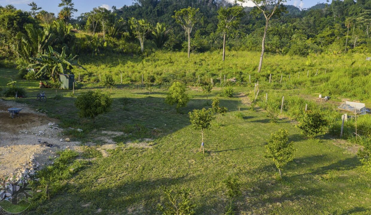 DJI_20251121155319_0332_D