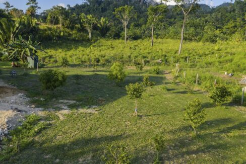 DJI_20251121155319_0332_D