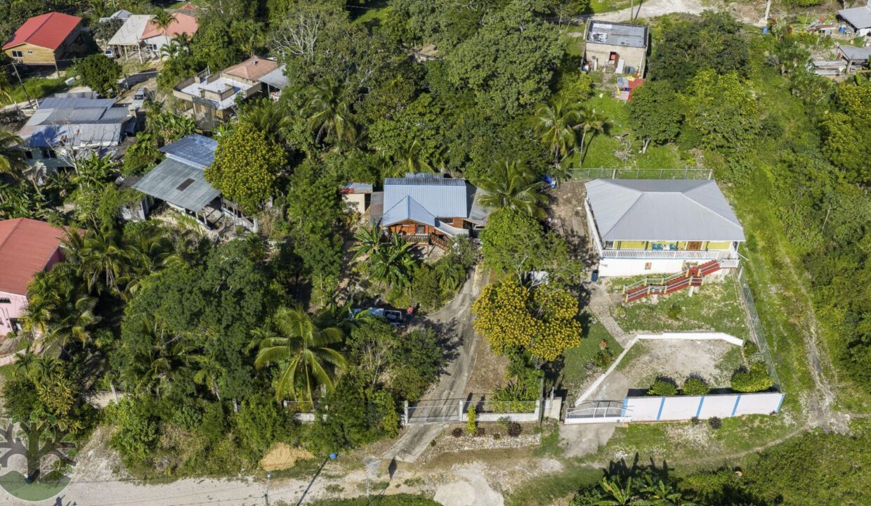 DJI_20260130152624_0569_D