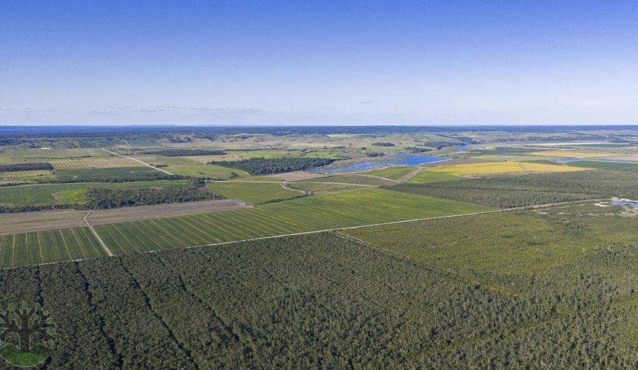 DJI_20260202162621_0852_D