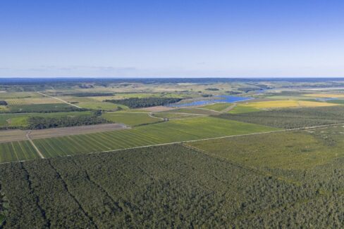 DJI_20260202162621_0852_D