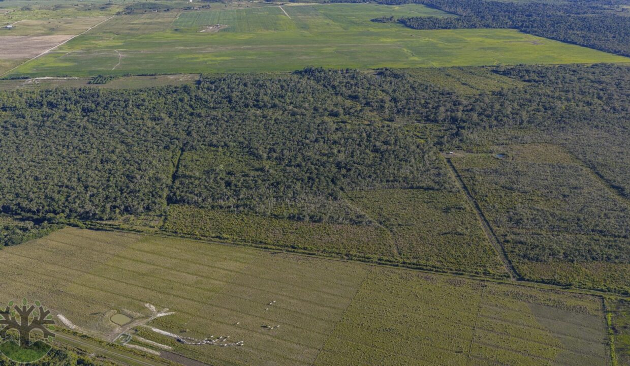 DJI_20260202162632_0856_D