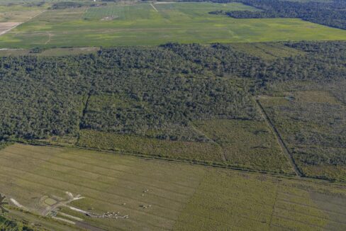 DJI_20260202162632_0856_D